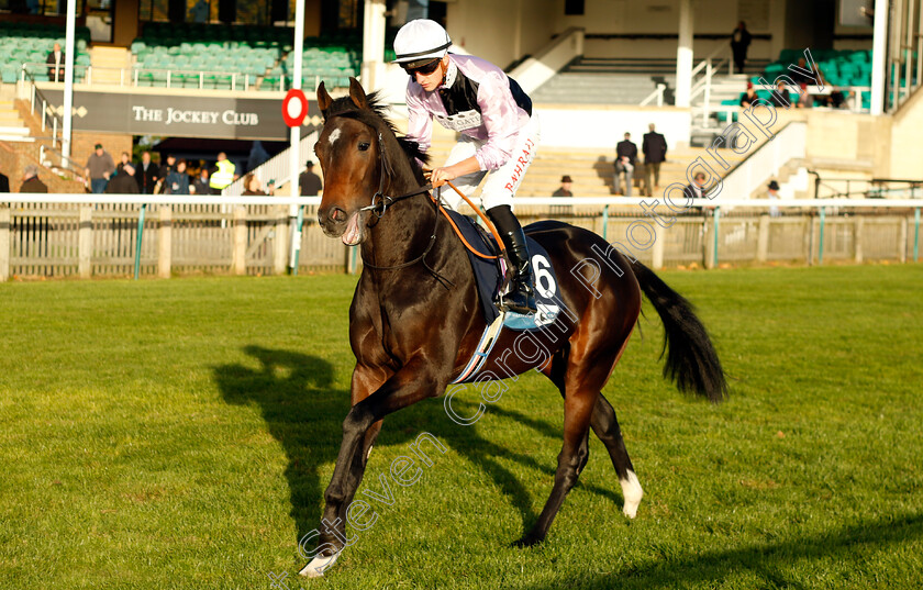 Lose-Your-Wad-0001 
 LOSE YOUR WAD (Tom Marquand)
Newmarket 19 Oct 2022 - Pic Steven Cargill / Racingfotos.com