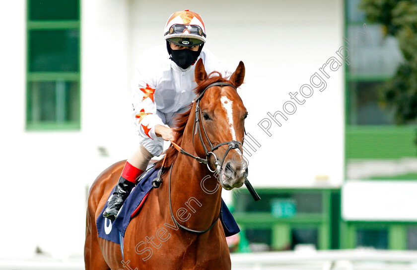 Canberra-0001 
 CANBERRA (Andrea Atzeni) 
Yarmouth 15 Jul 2020 - Pic Steven Cargill / Racingfotos.com