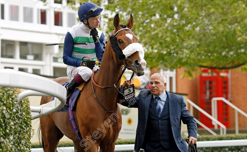 Coltrane-0008 
 COLTRANE (Oisin Murphy) before winning The Longines Sagaro Stakes
Ascot 1 May 2024 - Pic Steven Cargill / Racingfotos.com