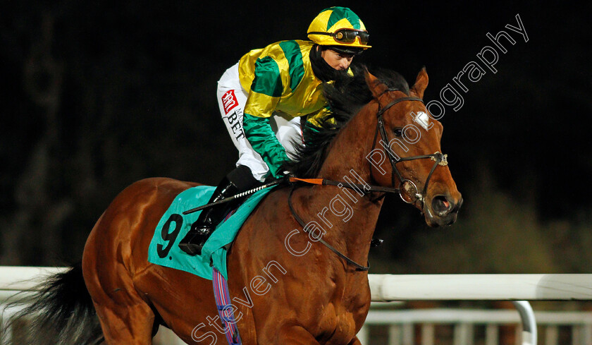 Jersey-Gift-0001 
 JERSEY GIFT (Hayley Turner)
Kempton 24 Feb 2021 - Pic Steven Cargill / Racingfotos.com