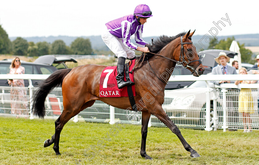 South-Sea-Pearl-0001 
 SOUTH SEA PEARL (Ryan Moore)
Goodwood 3 Aug 2019 - Pic Steven Cargill / Racingfotos.com