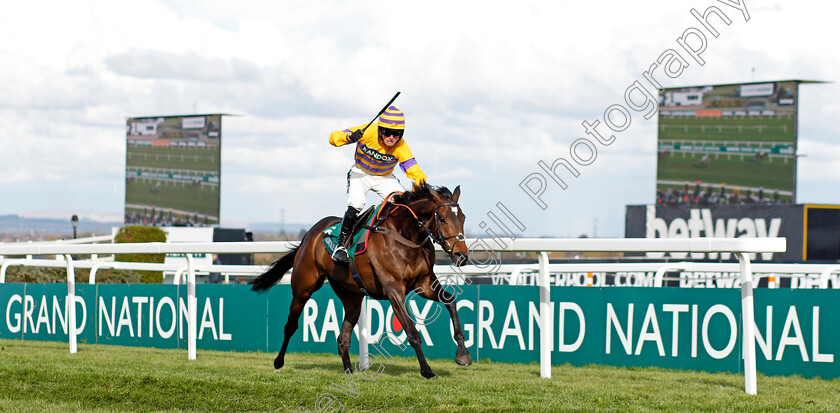 Gelino-Bello-0002 
 GELINO BELLO (Harry Cobden) wins The Cavani Menswear Sefton Novices Hurdle
Aintree 8 Apr 2022 - Pic Steven Cargill / Racingfotos.com