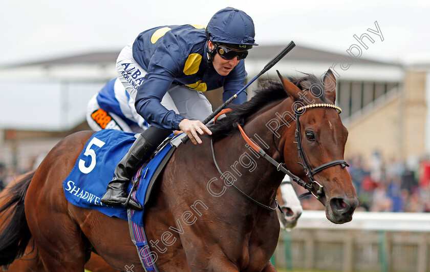 Muffri Ha-0007 
 MUFFRI'HA (Pat Cosgrave) wins The Muhaarar British EBF Rosemary Stakes Newmarket 29 Sep 2017 - Pic Steven Cargill / Racingfotos.com