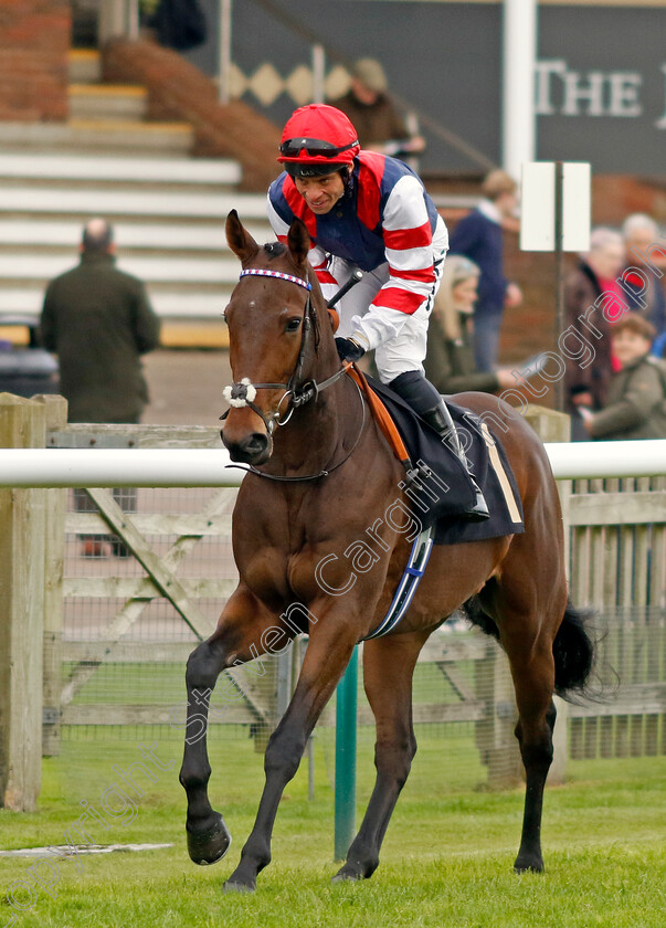 Anthracite-0001 
 ANTHRACITE (Sean Levey)
Newmarket 25 Oct 2023 - Pic Steven Cargill / Racingfotos.com