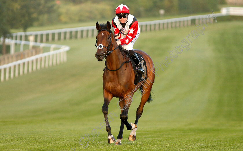 Mina-Vagante-0001 
 MINA VAGANTE (Pat Cosgrave)
Newmarket 28 Jun 2019 - Pic Steven Cargill / Racingfotos.com