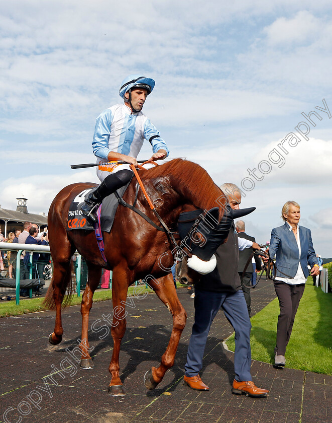 Giavellotto-0001 
 GIAVELLOTTO (Neil Callan)
Doncaster 11 Sep 2022 - Pic Steven Cargill / Racingfotos.com