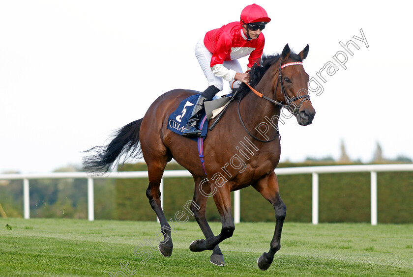 Rogue-Millennium-0002 
 ROGUE MILLENNIUM (Daniel Tudhope)
Leopardstown 9 Sep 2023 - Pic Steven Cargill / Racingfotos.com