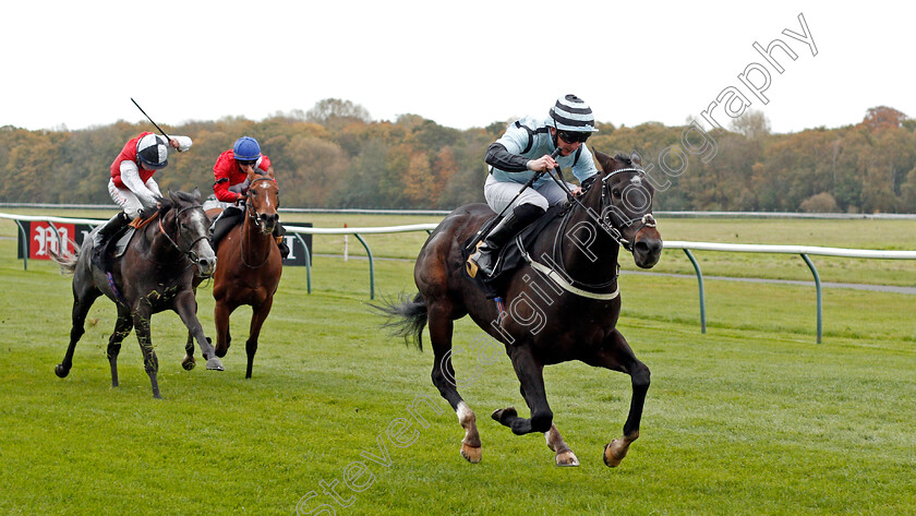 Mustarrid-0001 
 MUSTARRID (Paul Hanagan) wins The Covered By Mansionbets Beaten By A Head Handicap
Nottingham 28 Oct 2020 - Pic Steven Cargill / Racingfotos.com