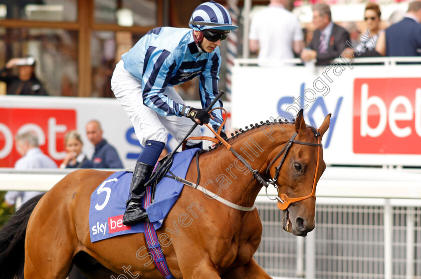 Tashkhan-0001 
 TASHKHAN (Ben Robinson)
York 26 Aug 2023 - Pic Steven Cargill / Racingfotos.com