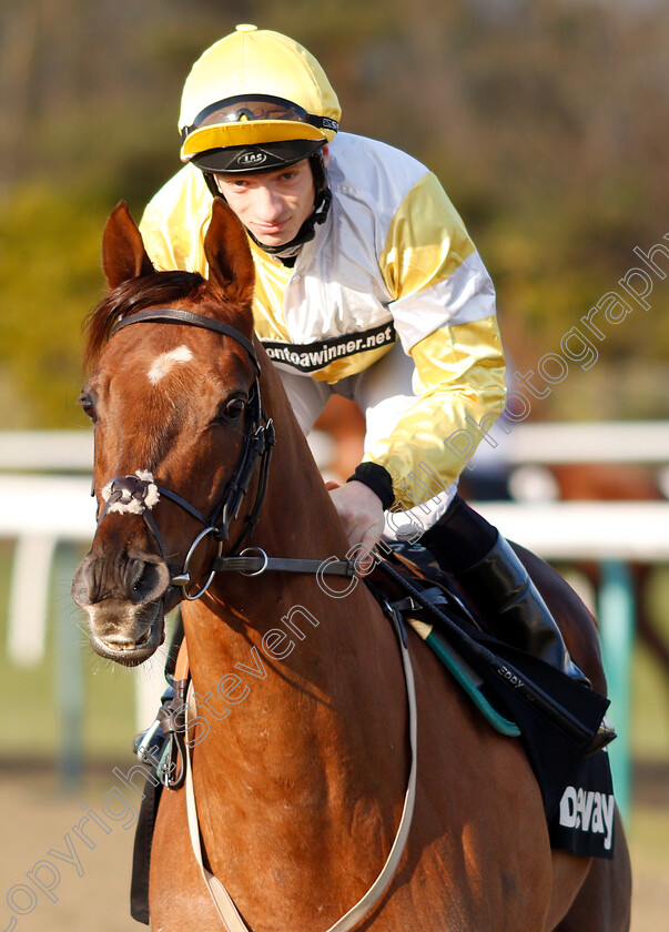 Corinthia-Knight-0001 
 CORINTHIA KNIGHT (Edward Greatrex)
Lingfield 2 Feb 2019 - Pic Steven Cargill / Racingfotos.com