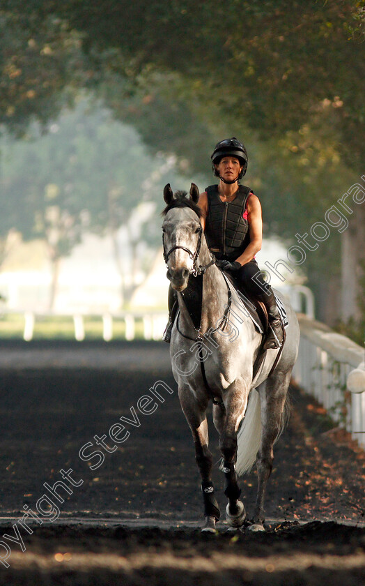 Librisa-Breeze-0004 
 LIBRISA BREEZE exercising in preparation for The Al Quoz Sprint at Meydan 29 Mar 2018 - Pic Steven Cargill / Racingfotos.com