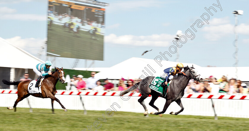 Dogtag-0002 
 DOGTAG (Javier Castellano) wins The Hilltop Stakes
Pimlico, Baltimore USA, 17 May 2019 - Pic Steven Cargill / Racingfotos.com