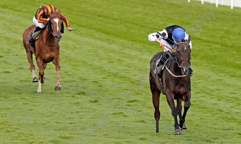 Badenscoth-0004 
 BADENSCOTH (George Downing) wins The Ladbrokes Best Odds Guaranteed Handicap
Goodwood 29 Aug 2020 - Pic Steven Cargill / Racingfotos.com