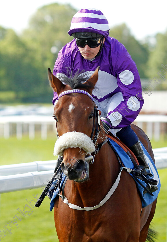 Tantalus 
 TANTALUS (Andrew Mullen)
York 12 May 2022 - Pic Steven Cargill / Racingfotos.com