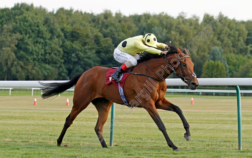 Night-Sparkle-0003 
 NIGHT SPARKLE (Andrea Atzeni) wins The Parbold Handicap
Haydock 2 Sep 2022 - Pic Steven Cargill / Racingfotos.com