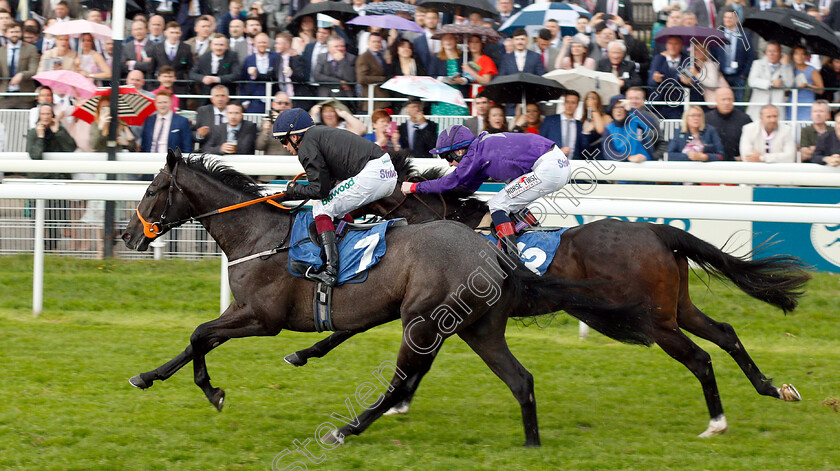 Magical-Max-0008 
 MAGICAL MAX (Andrew Mullen) wins The Reg Griffin Appreciation EBFstallions.com Maiden Stakes
York 15 Jun 2019 - Pic Steven Cargill / Racingfotos.com