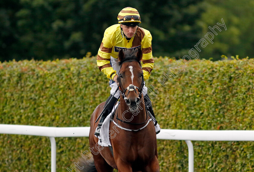 Bishopton-0001 
 BISHOPTON (Joshua Bryan)
Kempton 7 Aug 2024 - Pic Steven Cargill / Racingfotos.com