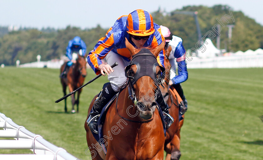 Port-Fairy-0003 
 PORT FAIRY (Ryan Moore) wins The Ribblesdale Stakes
Royal Ascot 20 Jun 2024 - Pic Steven Cargill / Racingfotos.com