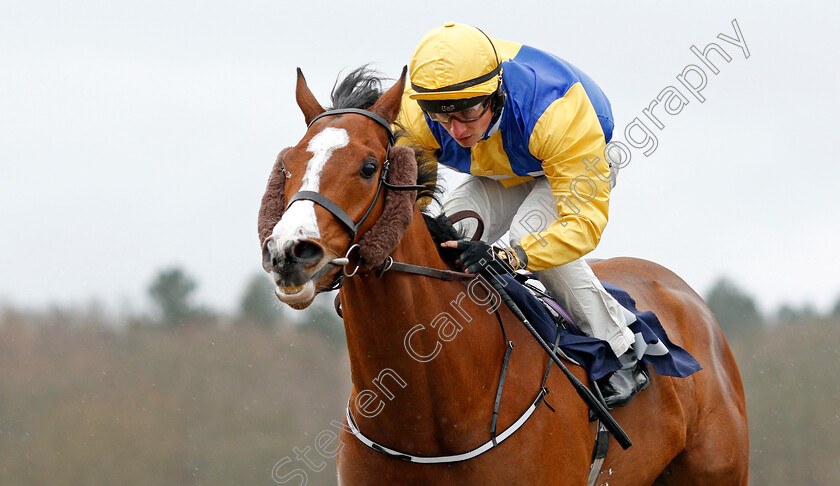 Renardeau-0007 
 RENARDEAU (Tom Marquand) wins The Betway Handicap
Lingfield 4 Mar 2020 - Pic Steven Cargill / Racingfotos.com