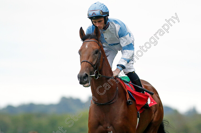 Pride-Of-Arras-0006 
 PRIDE OF ARRAS (Rossa Ryan) winner of The British EBF Maiden Stakes
Sandown 8 Aug 2024 - Pic Steven Cargill / Racingfotos.com