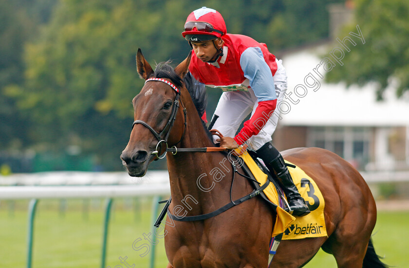 Divine-Comedy-0001 
 DIVINE COMEDY (Kaiya Fraser)
Haydock 7 Sep 2024 - Pic Steven Cargill / Racingfotos.com