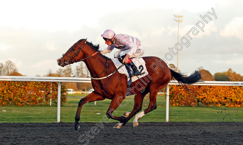 Aratus-0003 
 ARATUS (Adam Kirby) wins The British EBF Future Stayers Maiden Stakes
Kempton 2 Nov 2020 - Pic Steven Cargill / Racingfotos.com