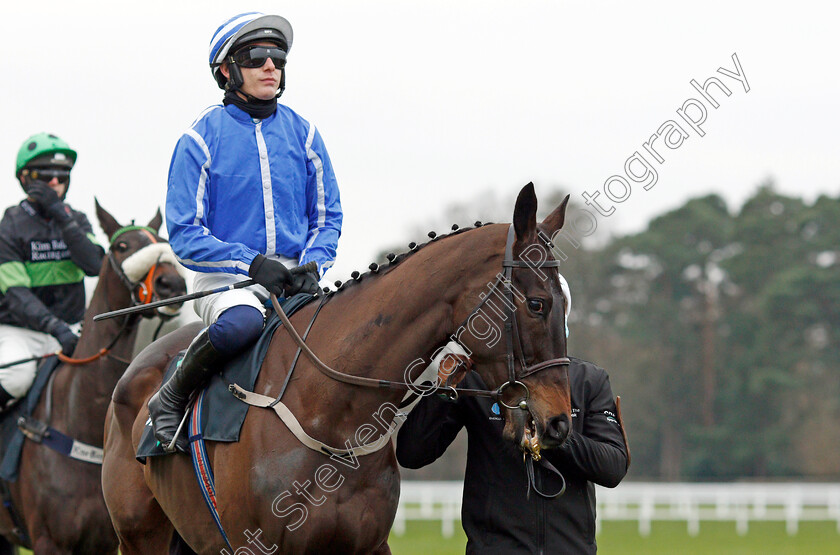 Energumene-0004 
 ENERGUMENE (Paul Townend)
Ascot 22 Jan 2022 - Pic Steven Cargill / Racingfotos.com