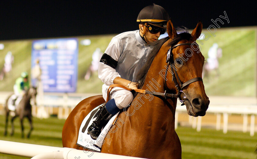 Hornsby-0001 
 HORNSBY (Mickael Barzalona) Meydan 18 Jan 2018 - Pic Steven Cargill / Racingfotos.com