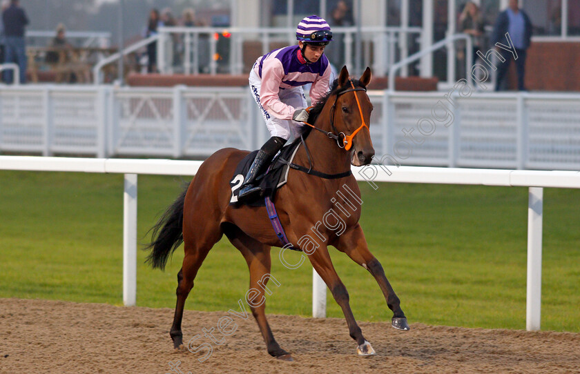 Ghepardo-0001 
 GHEPARDO (Rossa Ryan) Chelmsford 26 Sep 2017 - Pic Steven Cargill / Racingfotos.com