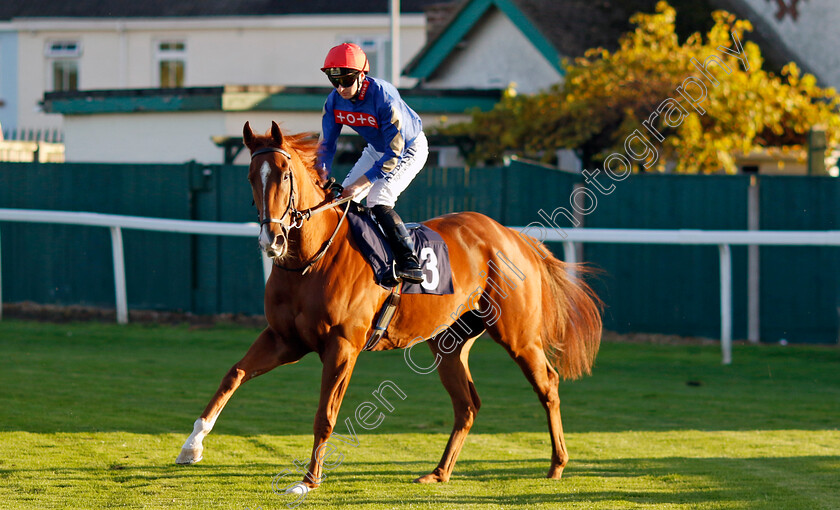 Fletcher s-Flight-0002 
 FLETCHER'S FLIGHT (Adam Farragher)
Yarmouth 22 Oct 2024 - Pic Steven Cargill / Racingfotos.com