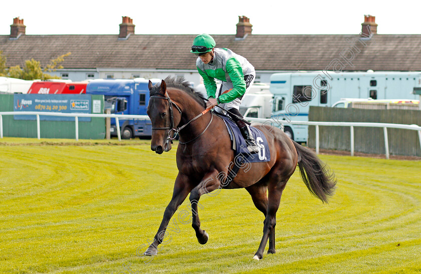 Scapusc-0001 
 SCAPUSC (Daniel Muscutt) Yarmouth 19 Sep 2017 - Pic Steven Cargill / Racingfotos.com