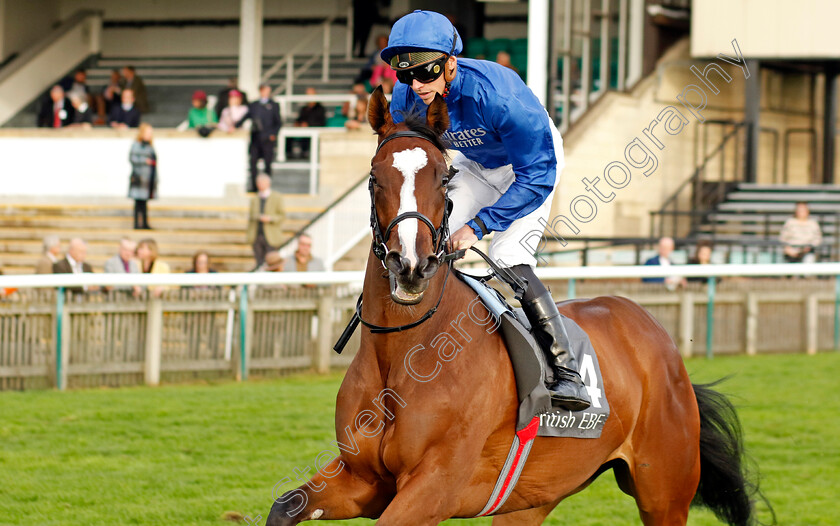 Dream-Of-Love-0001 
 DREAM OF LOVE (James Doyle)
Newmarket 29 Oct 2022 - Pic Steven Cargill / Racingfotos.com