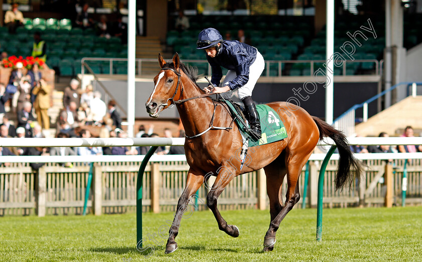 Nelson-0001 
 NELSON (Ryan Moore) Newmarket 30 Sep 2017 - Pic Steven Cargill / Racingfotos.com