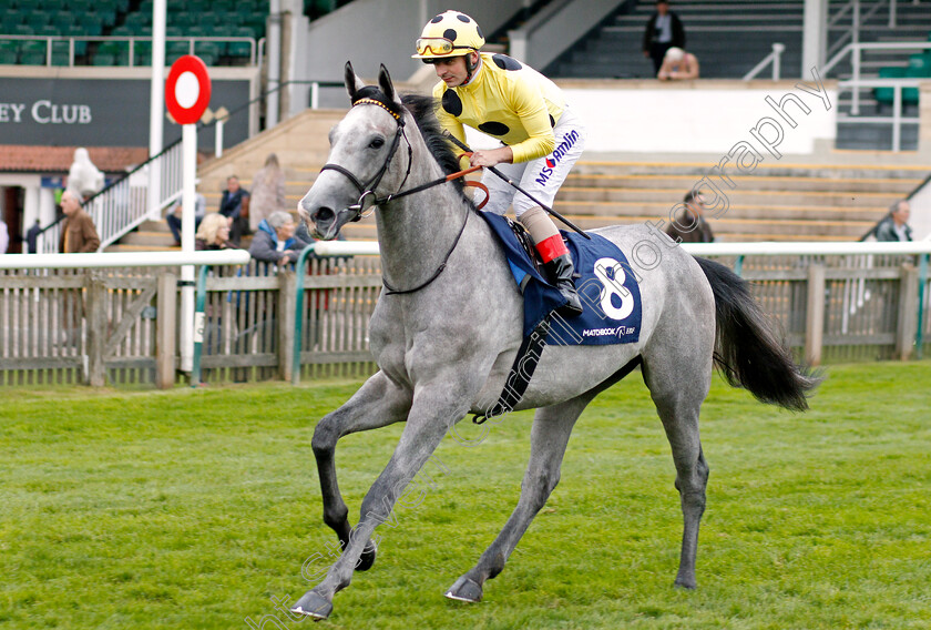 Solar-Screen-0001 
 SOLAR SCREEN (Andrea Atzeni)
Newmarket 23 Oct 2019 - Pic Steven Cargill / Racingfotos.com