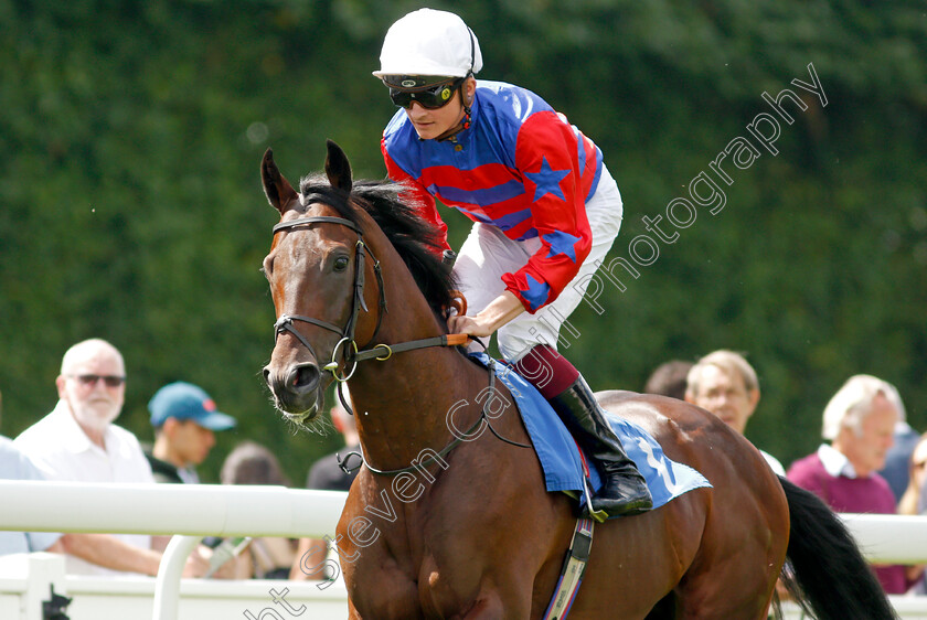 Be-Lucky-My-Son-0001 
 BE LUCKY MY SON (Rob Hornby)
Salisbury 11 Aug 2021 - Pic Steven Cargill / Racingfotos.com