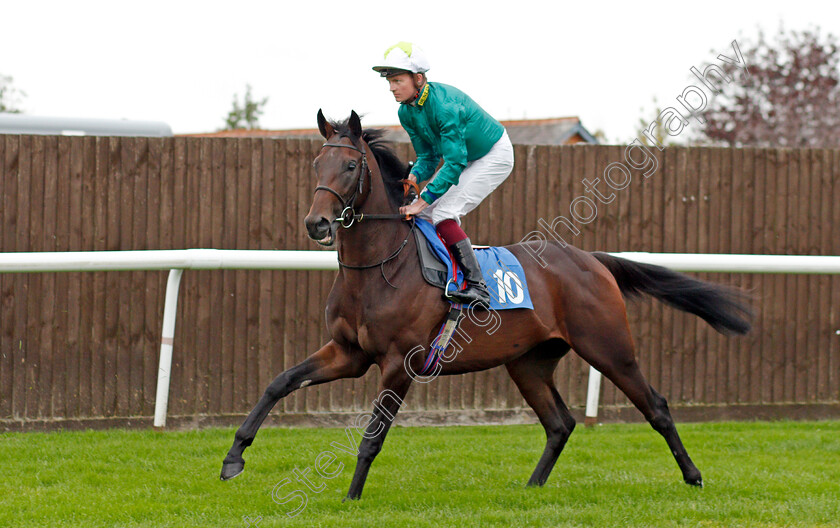 Vee-Sight 
 VEE SIGHT (Rob Hornby)
Leicester 12 Oct 2021 - Pic Steven Cargill / Racingfotos.com