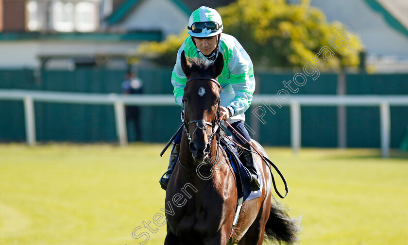 Rathmoy-0001 
 RATHMOY (Marco Ghiani)
Yarmouth 17 Sep 2024 - Pic Steven Cargill / Racingfotos.com