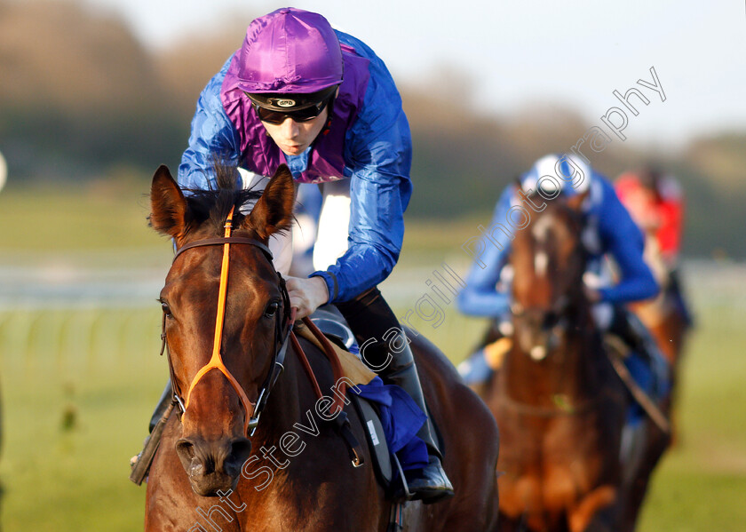 Dubai-Instinct-0007 
 DUBAI INSTINCT (Callum Shepherd) wins The CAstle Beauty Maiden Stakes
Nottingham 20 Apr 2019 - Pic Steven Cargill / Racingfotos.com