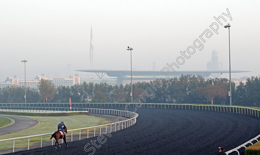 Magny-Cours-0002 
 MAGNY COURS training for the Dubai World Cup
Meydan, Dubai, 22 Mar 2022 - Pic Steven Cargill / Racingfotos.com