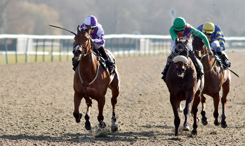 Gorgeous-Noora-0004 
 GORGEOUS NOORA (Hollie Doyle) beats ROYAL BIRTH (right) in The Betway Hever Sprint Stakes
Lingfield 23 Feb 2019 - Pic Steven Cargill / Racingfotos.com