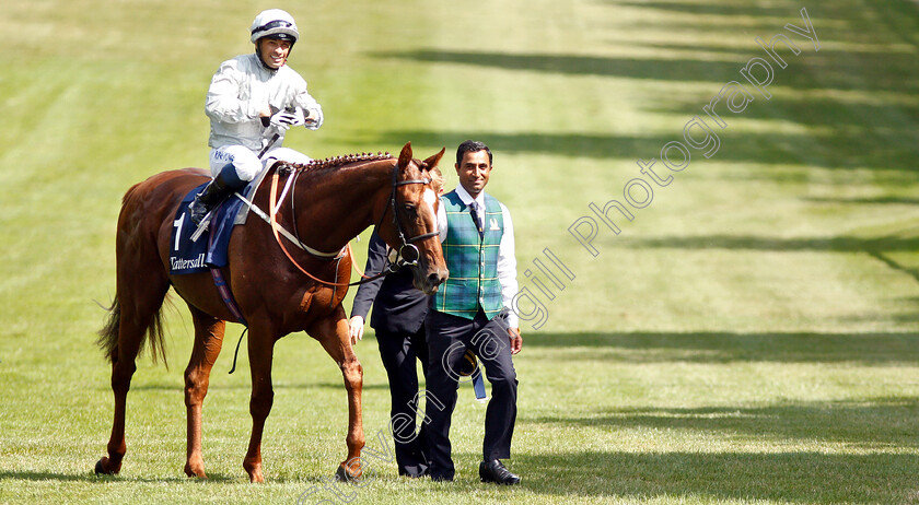 Communique-0011 
 COMMUNIQUE (Silvestre De Sousa) after The Princess Of Wales's Stakes
Newmarket 11 Jul 2019 - Pic Steven Cargill / Racingfotos.com