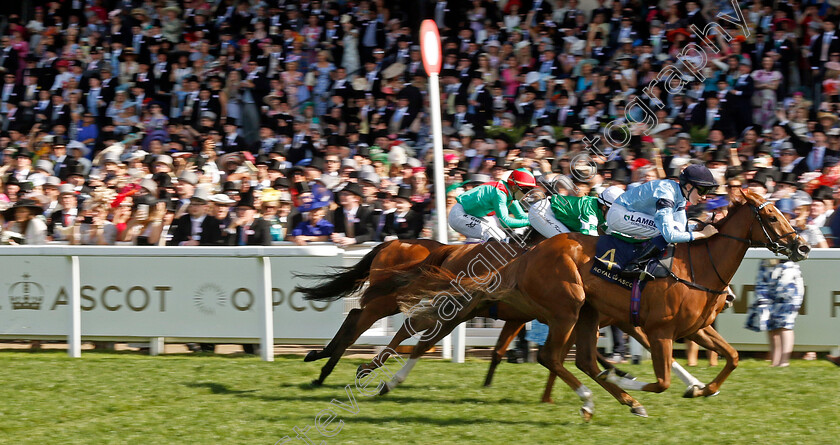 Soprano-0002 
 SOPRANO (Billy Loughnane) wins The Sandringham Stakes
Royal Ascot 21 Jun 2024 - Pic Steven Cargill / Racingfotos.com