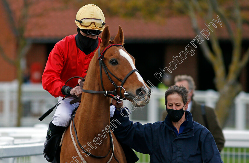 Awake-My-Soul-0001 
 AWAKE MY SOUL (Tom Queally) before winning The Play 3-2-Win At Mansionbet Handicap
Newmarket 30 Oct 2020 - Pic Steven Cargill / Racingfotos.com