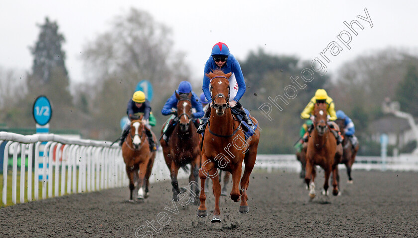 Kestenna-0002 
 KESTENNA (Robert Havlin) wins The Unibet Casino Deposit £10 Get £40 Bonus Fillies Novice Stakes
Kempton 16 Feb 2021 - Pic Steven Cargill / Racingfotos.com