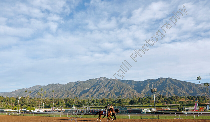 Just-F-Y-I-0001 
 JUST F Y I training for The Breeders' Cup Juvenile Fillies
Santa Anita USA, 30 Oct 2023 - Pic Steven Cargill / Racingfotos.com