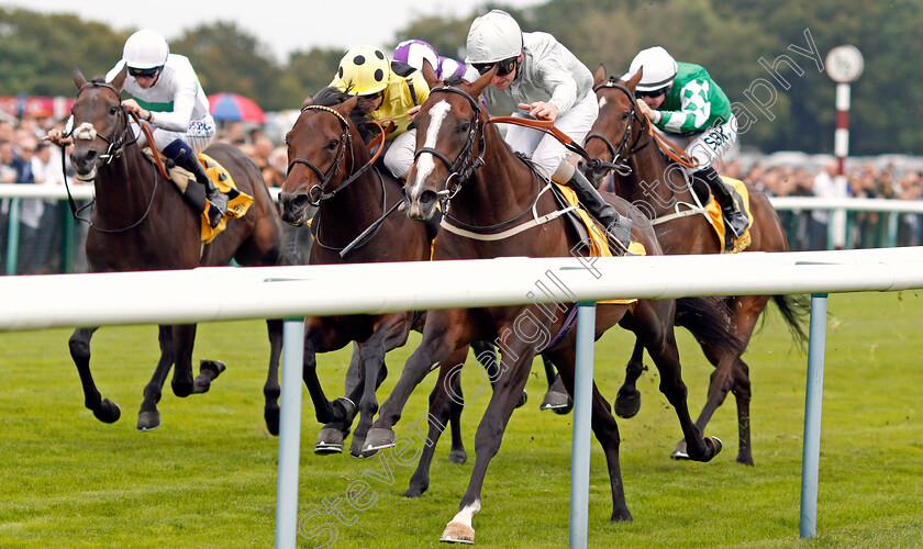 Golden-Flame-0004 
 GOLDEN FLAME (Joe Fanning) wins The My Odds Boost On Betfair Handicap
Haydock 4 Sep 2021 - Pic Steven Cargill / Racingfotos.com