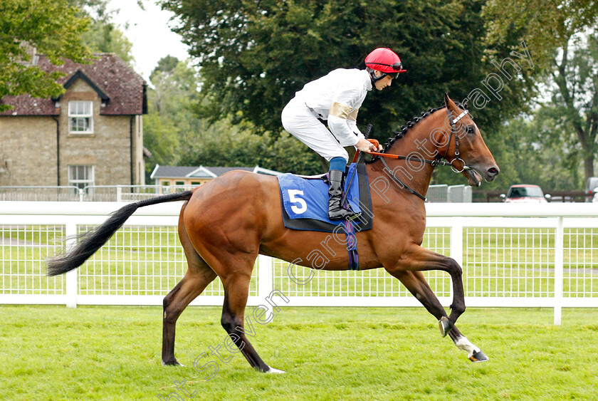 Undercover-Agent-0001 
 UNDERCOVER AGENT (Rhys Clutterbuck)
Salisbury 12 Aug 2021 - Pic Steven Cargill / Racingfotos.com