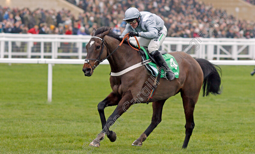 Santini-0007 
 SANTINI (Nico de Boinville) wins The Paddy Power Cotswold Chase
Cheltenham 25 Jan 2020 - Pic Steven Cargill / Racingfotos.com