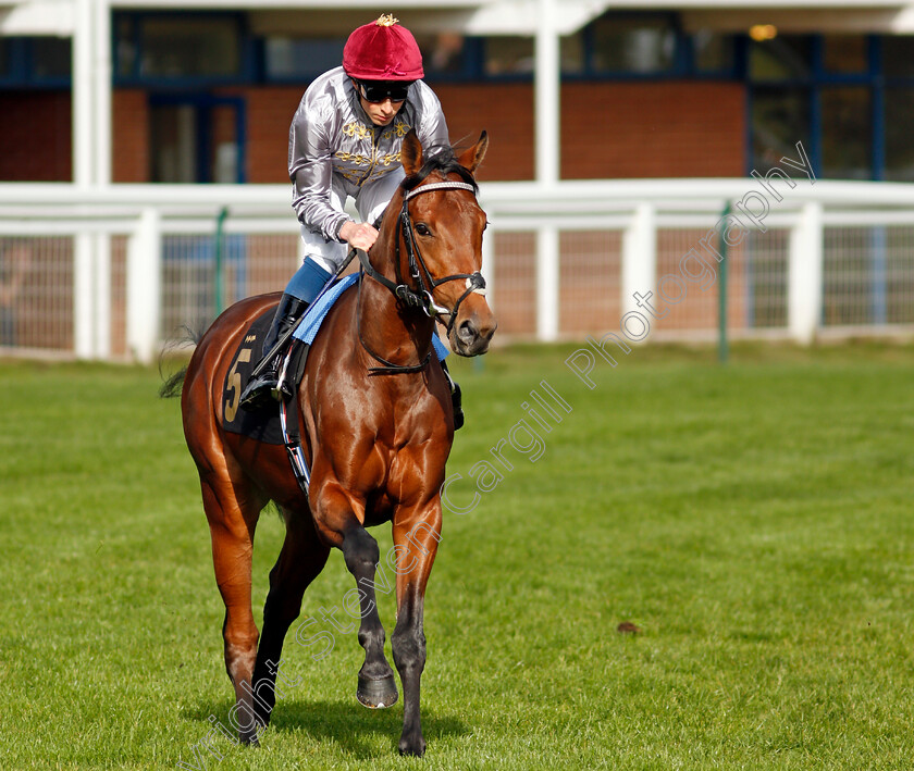 Medyaf-0002 
 MEDYAF (William Buick)
Nottingham 13 Oct 2021 - Pic Steven Cargill / Racingfotos.com