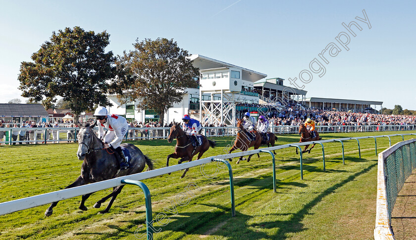 Past-Master-0001 
 PAST MASTER (Dane O'Neill)
Yarmouth 19 Sep 2019 - Pic Steven Cargill / Racingfotos.com